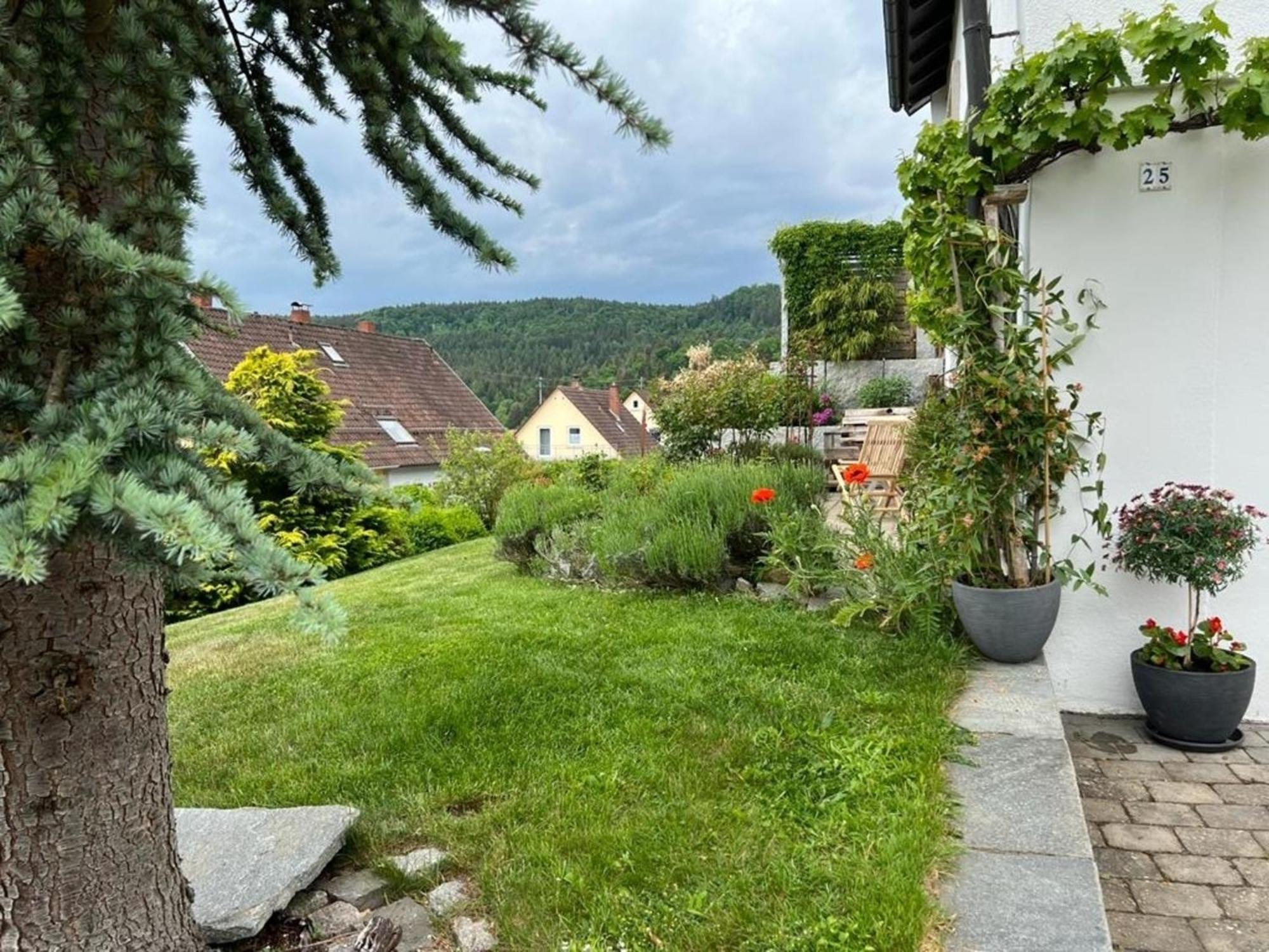 Ferienwohnung Jardin De Lavande Fridingen an der Donau Εξωτερικό φωτογραφία