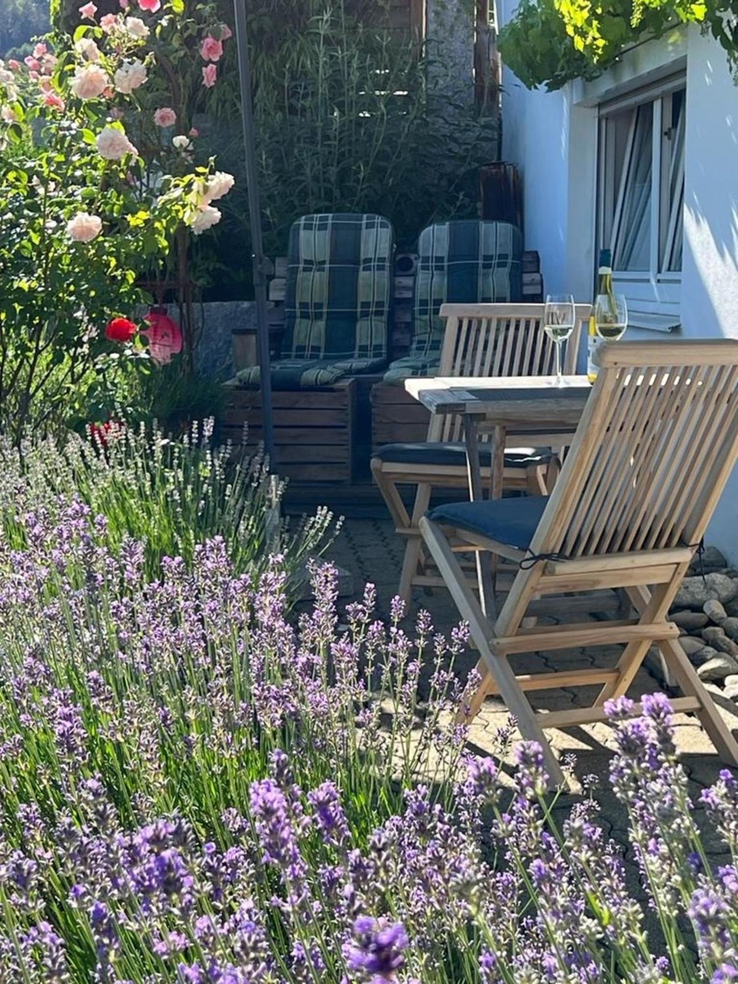Ferienwohnung Jardin De Lavande Fridingen an der Donau Εξωτερικό φωτογραφία